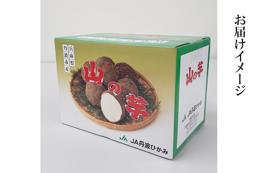 丹波市産 山の芋（秀L・1㎏）: あつめて、兵庫。|【JAタウン