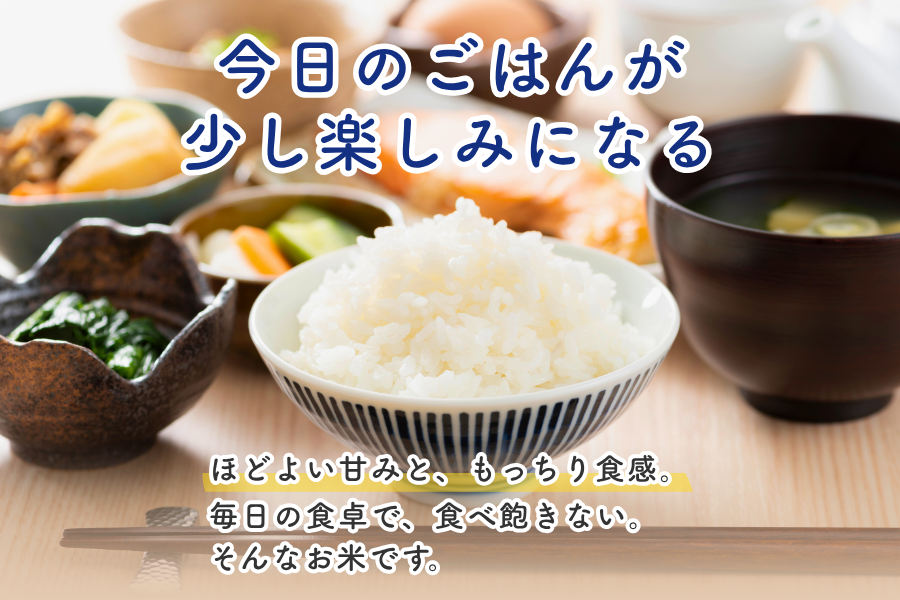 兵庫県産「コノホシ」5kg ※お客様送料負担なし: あつめて、兵庫