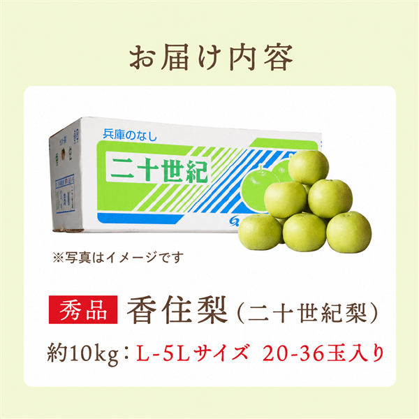 美味しい20世紀梨 秀品 進物箱10㎏ 2026年終売】香住梨「二十世紀梨」 秀品 約10kg: あつめて、兵庫