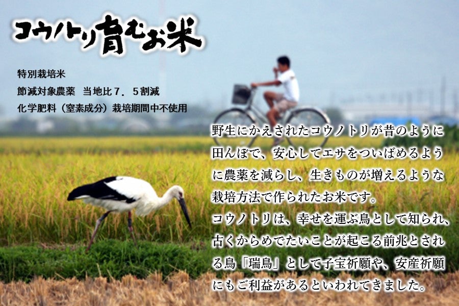 産地直送 通販 お取り寄せコウノトリ育むお米（5kg）＆ 蛇紋岩米（5kg） ※送料無料: あつめて、兵庫。|ＪＡタウン