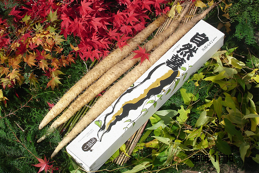 ▲芋の形状により、本数は異なります