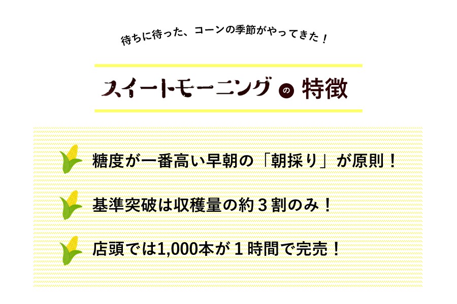 予約】JA兵庫南 スイートモーニング（2L・約2㎏） 【6月下旬から順次