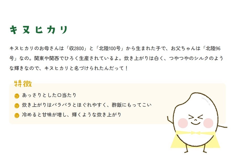 Amazon.co.jp: 【精米】令和6年 兵庫県産キヌヒカリ 10kg 職人の