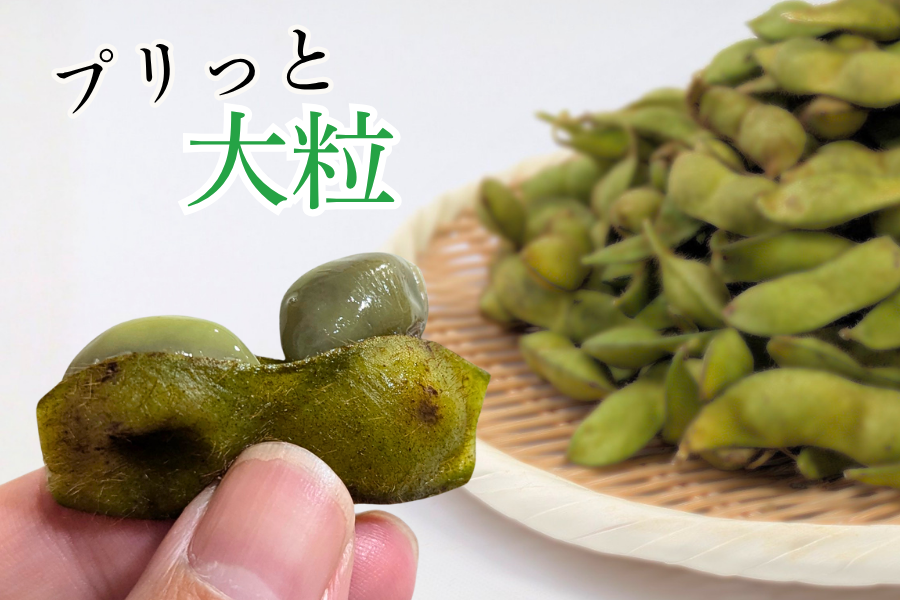 予約】丹波黒大豆枝豆（700g×5束） 【10月中旬以降出荷開始】: あつめ