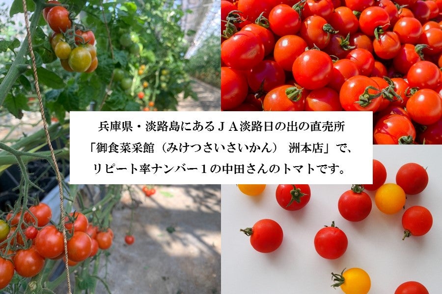 【数量限定】中田さん家の淡路島産 2kg入りミニトマト