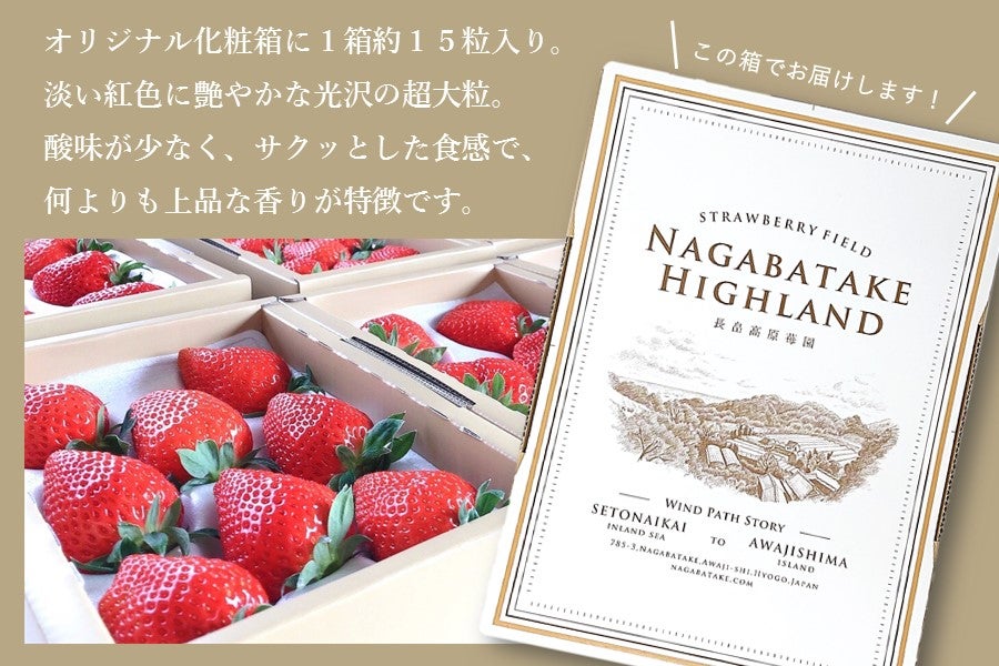朝採り大粒いちご（かおり野）約15粒入:　通販　あつめて、兵庫。|【ＪＡタウン】産地直送　お取り寄せ