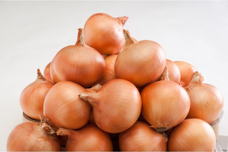 JAあわじ島 ほんまもん淡路島たまねぎ （晩生種 もみじ3号・もみじの