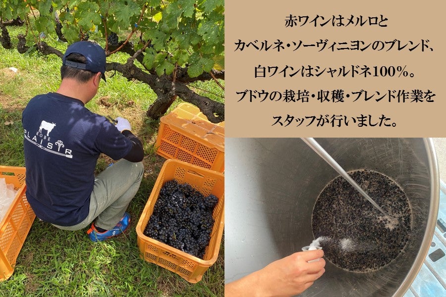 神戸プレジール　オリジナルワイン（赤・白）
