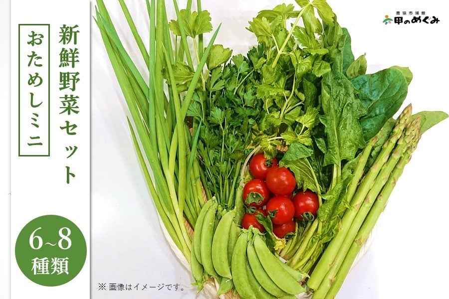 通販　あつめて、兵庫。|【ＪＡタウン】産地直送　新鮮野菜セット　おためしミニ（６～８種類）:　お取り寄せ