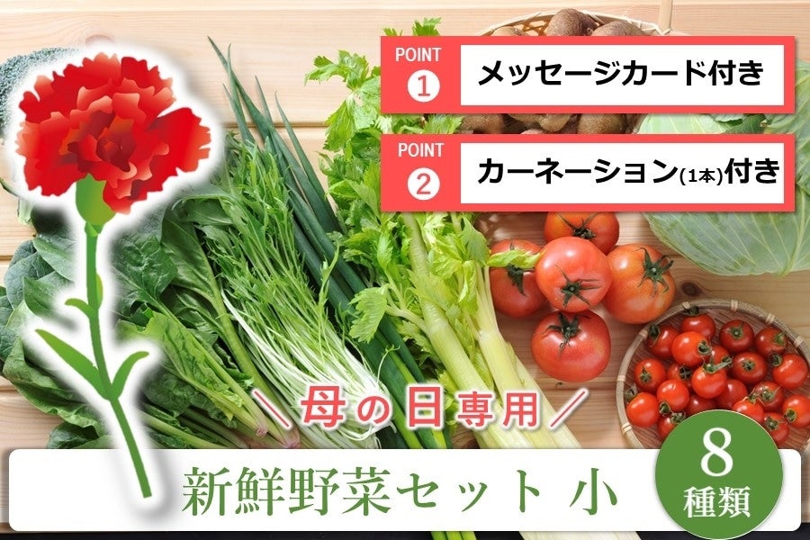 産地直送 通販 お取り寄せ 母の日 新鮮野菜セット小 ８種類 カーネーション付き あつめて 兵庫 ｊａタウン