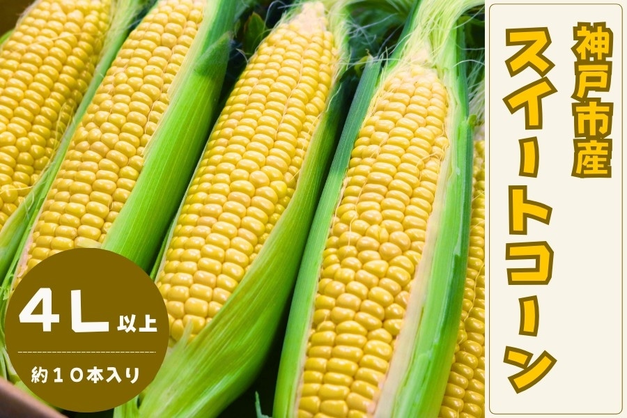 予約】神戸市産 スイートコーン（4Lサイズ・約4.5kg） 【6月下旬順次