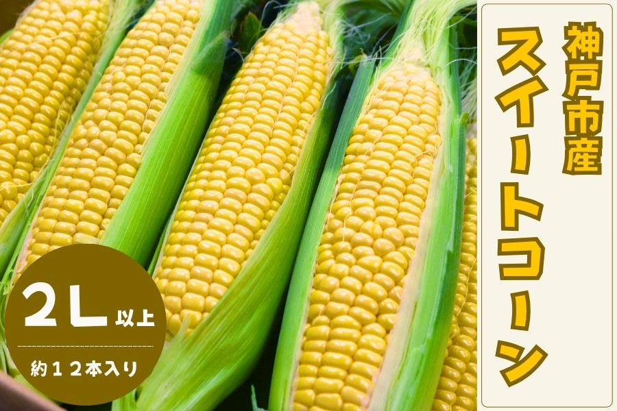 予約】神戸市産 スイートコーン（2Lサイズ・約4.5kg） 【6月下旬順次