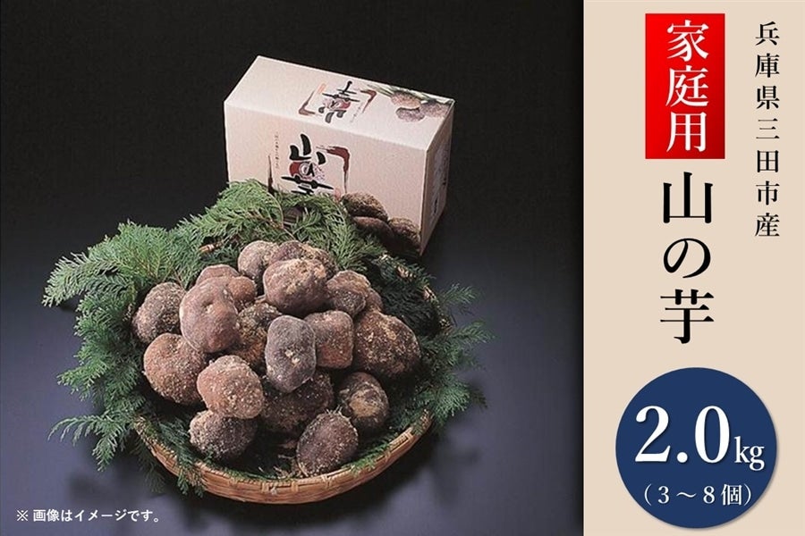 期間限定】三田産 山の芋（2㎏・家庭用）: あつめて、兵庫。|【JA