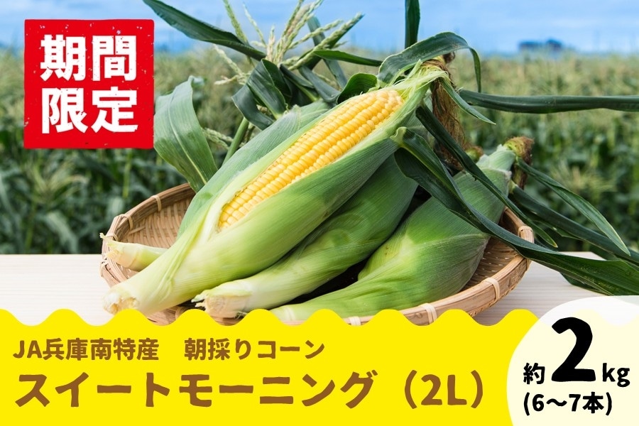 芋マイスター※他の方のご購入はご遠慮ください 予約】JA兵庫南 スイートモーニング（2L・約2㎏） 【6月下旬から順次