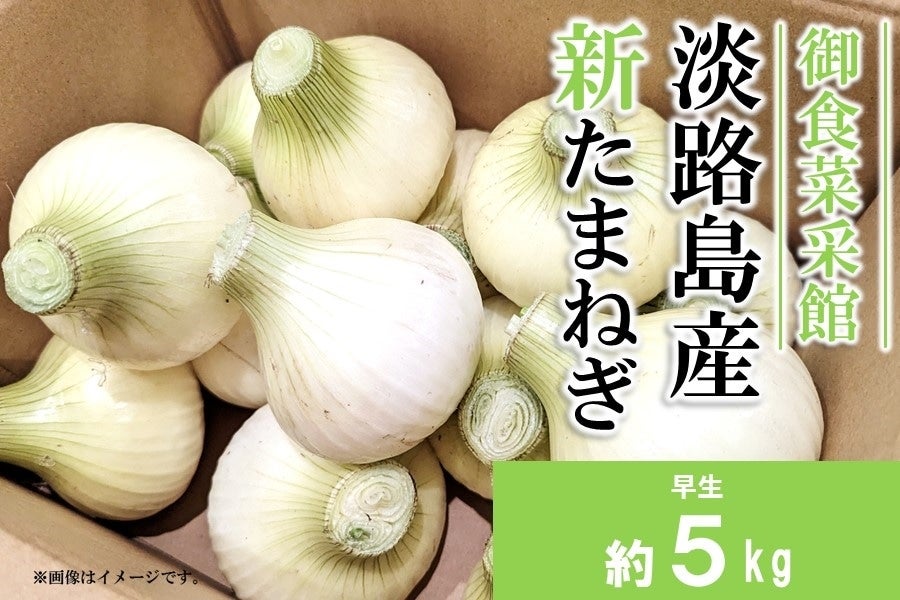 通販　早生〉淡路島産新たまねぎ（5kg）:　あつめて、兵庫。|【ＪＡタウン】産地直送　お取り寄せ