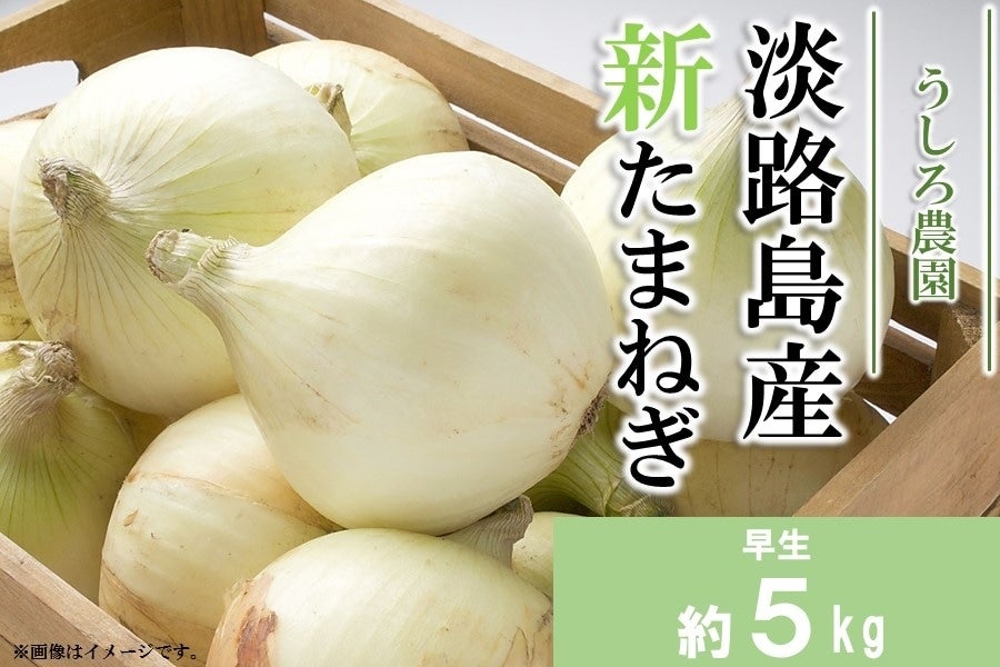 産地直送 通販 お取り寄せ 数量限定 うしろ農園の淡路島産新たまねぎ 約5 あつめて 兵庫 ｊａタウン