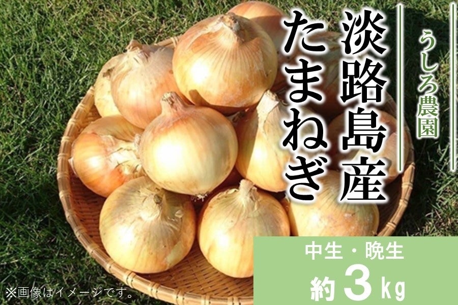 産地直送 通販 お取り寄せ 数量限定 うしろ農園の淡路島産たまねぎ 約3 保存ネット付き あつめて 兵庫 ｊａタウン