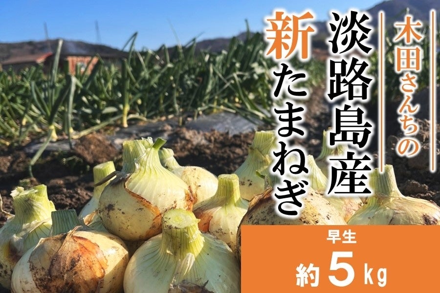 産地直送 通販 お取り寄せ 終売 数量限定 木田さん家の淡路島産新たまねぎ 約5kg あつめて 兵庫 ｊａタウン