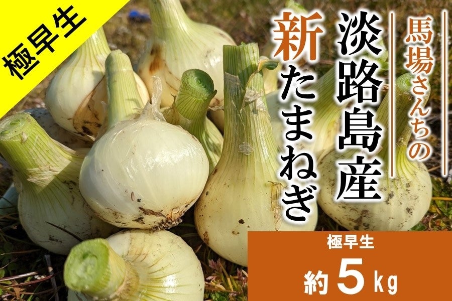 淡路島新玉ねぎ 5kg 極早生 - 野菜