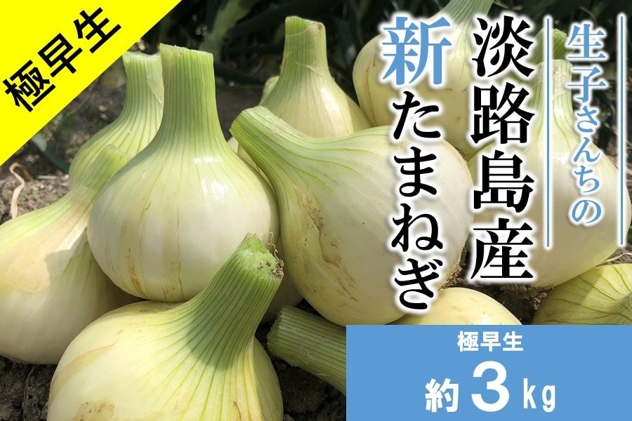 【数量限定】生子(せいご)さん家の淡路島産 たまねぎ (約3kg)