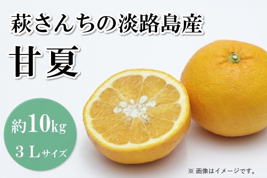 萩さんちの淡路島産甘夏（3L・約10kg）: あつめて、兵庫