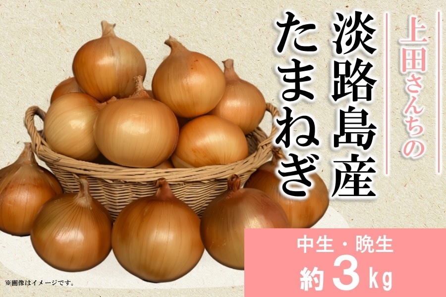 中生】上田さんちの淡路島産たまねぎ（約3kg）: あつめて、兵庫