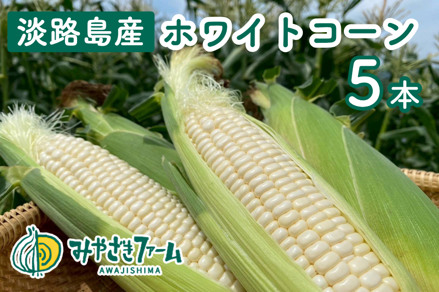 みやざきファームの淡路島産ホワイトコーン（5本） ※6月中旬出荷開始