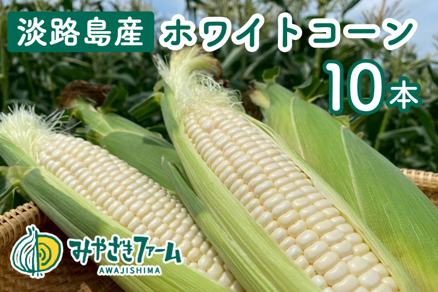 みやざきファームの淡路島産ホワイトコーン（10本） ※6月中旬出荷開始