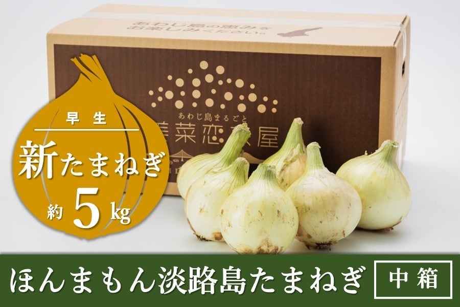 ◇美菜恋来屋◇ほんまもん淡路島たまねぎ【新たまねぎ】（中箱