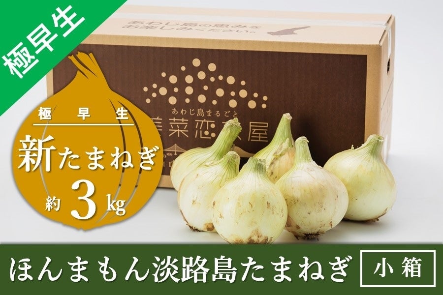 産地直送 通販 お取り寄せ 美菜恋来屋 ほんまもん淡路島たまねぎ 新たまねぎ 小箱 期間限定 あつめて 兵庫 ｊａタウン