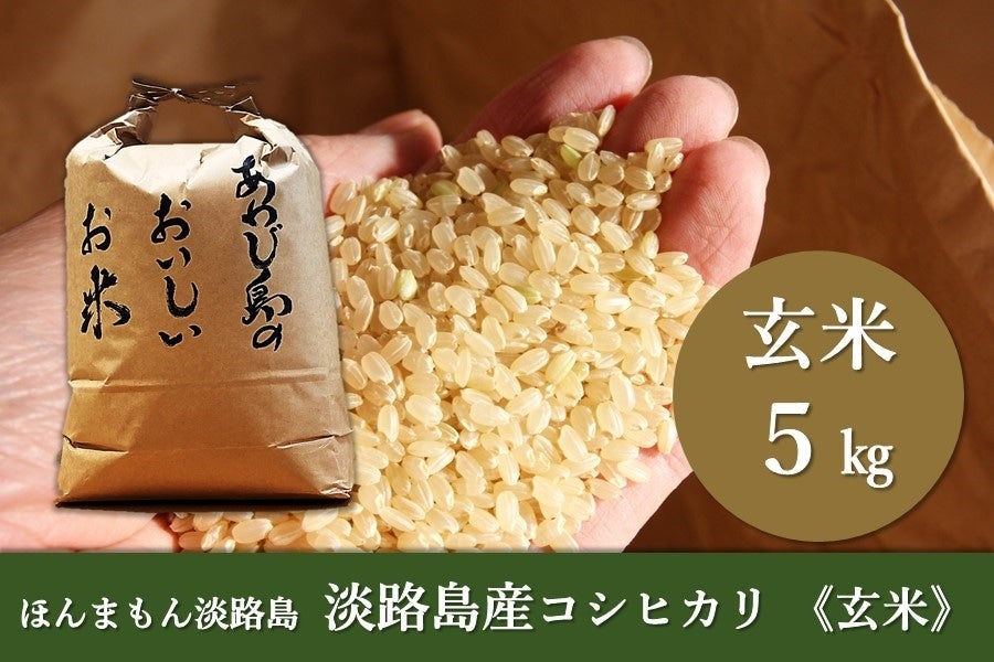 コシヒカリ玄米　米/穀物