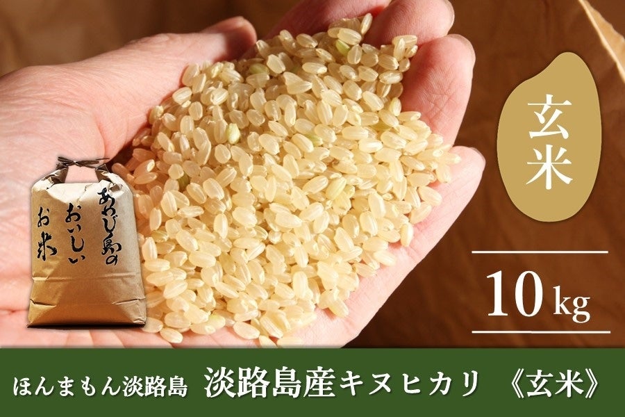 令和4年産  キヌヒカリ  新米 玄米 20キロ 淡路島産　20kg