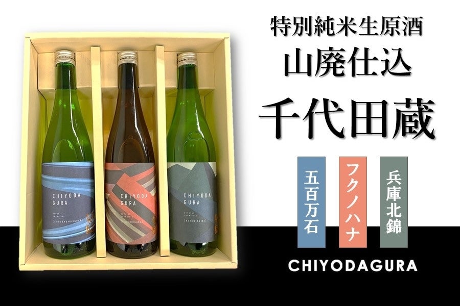 田酒6本セット　特別純米3本　山廃純米3本