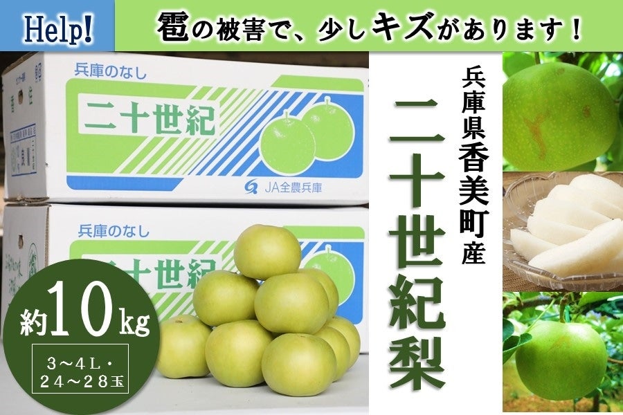 産地直送 通販 お取り寄せ【訳あり・ご家庭用】香住の二十世紀梨 約10kg 3～4Ｌ（24～28玉）: あつめて、兵庫。|ＪＡタウン