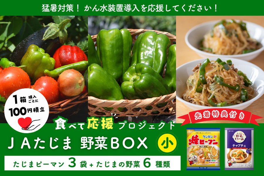 シャウピーマン ★2ページ目★ 食べて応援】たじまピーマンたっぷり！JAたじま野菜BOX（小）: あつめ