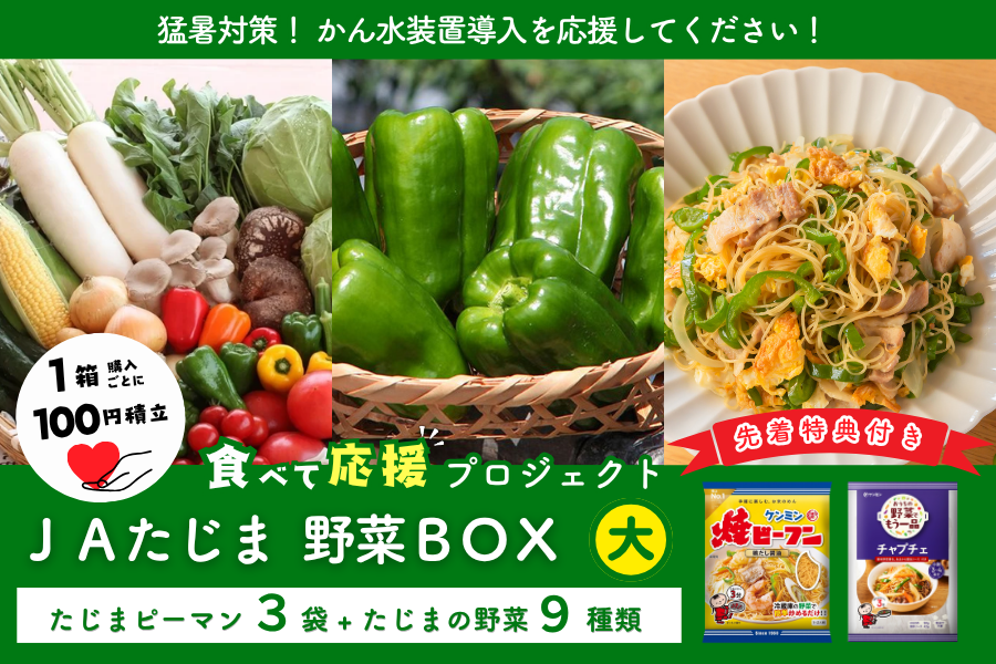 食べて応援】たじまピーマンたっぷり！JAたじま野菜BOX（大）: あつめ