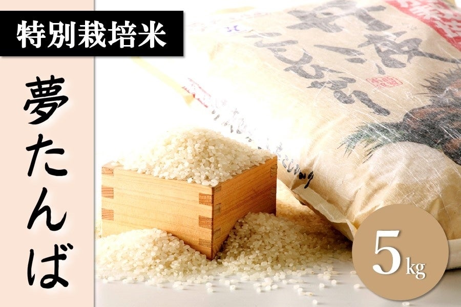 古米 (令和4年度米) 　兵庫県産  コシヒカリ　 　玄米　約9.6キロ