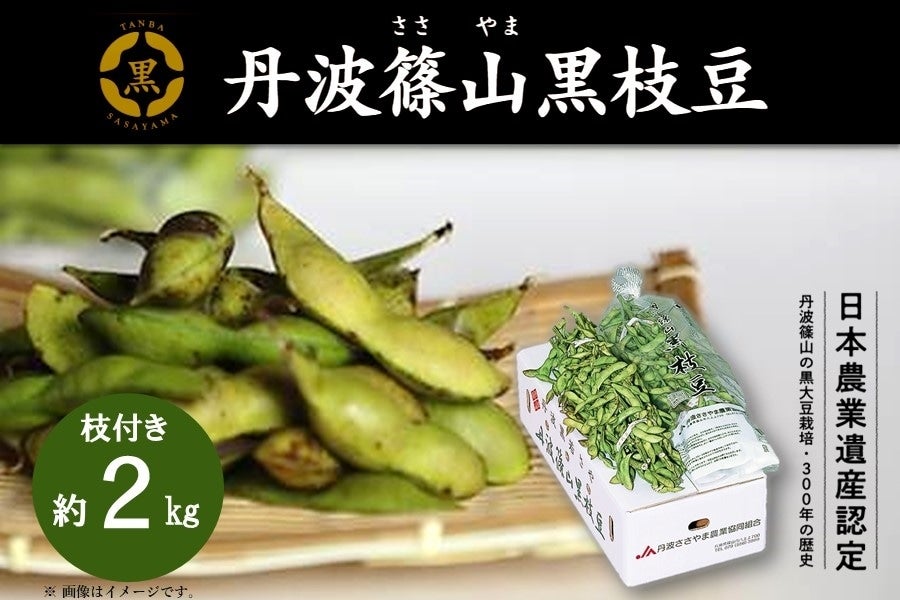 産地直送 通販 お取り寄せ 予約終了 丹波篠山黒枝豆 若さや あつめて 兵庫 jaタウン 産地直送 通販 お取り寄せ 予約終了 丹波篠山黒枝豆 若さや あつめて 兵庫 jaタウン
