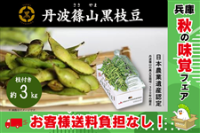 �y�\��z�O�g�R���}���i�}�t�� ��3kg�j�@�y10�����{�`���{�o�ׁz�@�@�@�����q�l�������S�Ȃ�