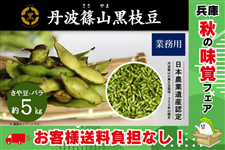 �y�\��z�O�g�R���}���i�Ɩ��p�o�� ��5kg�j�@�y10�����{�`���{�o�ׁz�@�@�@�����q�l�������S�Ȃ�