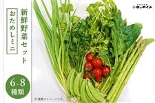 新鮮野菜 お試しミニBOX（６〜８種類）