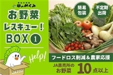 お野菜レスキュー！BOX�@（六甲のめぐみ）