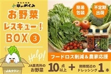 【入荷待ち】お野菜レスキュー！BOX�B（六甲のめぐみ）