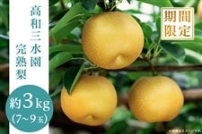 【夏の贈り物】 神戸・高和「三水園」　完熟梨