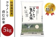 【お歳暮】コウノトリ育むお米・5kg（特別栽培米）　　　※お客様送料負担0円！