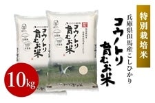 iʍ͔|ājREmgނ 10kg