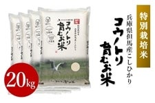 REmgނāE20kgiʍ͔|āj