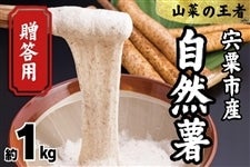 sY R(1.0kg)