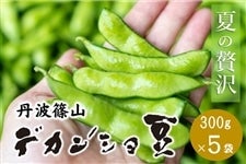 【予約】丹波篠山デカンショ豆（300g×5P）