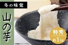 y\zOgsY R̈iGEPsj@y11{ȍ~oׁz@_˃vW[ Av